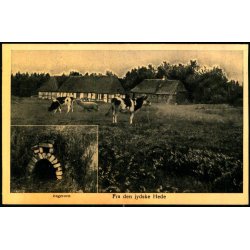 Fra den jyske Hede - CBC 1279 - Ubrugt