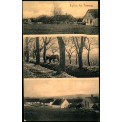 Partier fra T�istrup - J.J.N. 4179 - Ubrugt