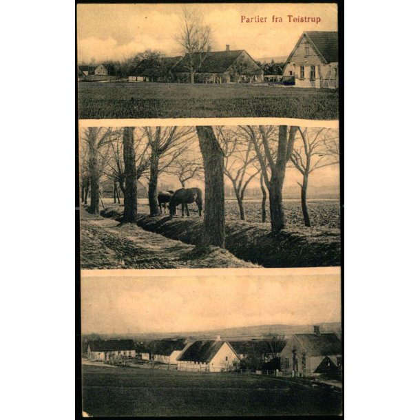 Partier fra T�istrup - J.J.N. 4179 - Ubrugt