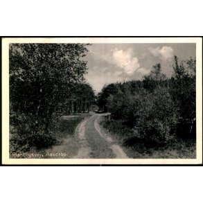 Plantagevej - Asserbo - E. Ramlaus Bogh. 78363 - Brugt