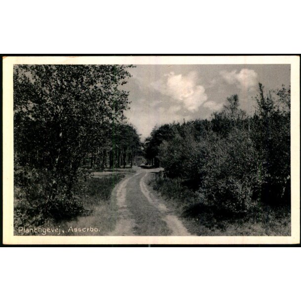 Plantagevej - Asserbo - E. Ramlaus Bogh. 78363 - Brugt