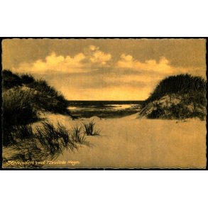 Stranden ved Tisvilde Hegn - Rudolf Olsen 15547 - Ubrugt