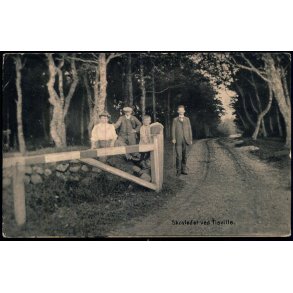 Skovleddet ved Tisville - u/n - Brugt