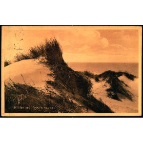 Klitter ved Vesterhavet - Stender 17979 - Brugt