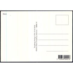 R�m� - Trojaborg R�M 19 - Ubrugt