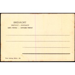 Kbenhavn - Frederiksberg Slot - Peter Alstrup 486 - Ubrugt