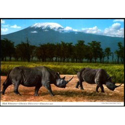 Luftpost Kort fra Kenya til Tyskland - 12 - 4 - 73