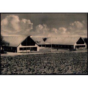 Haarby - De Gamles Hjem - N. Pilegaard 99265 - Ubrugt