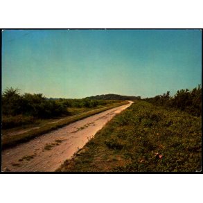 Parti fra Eneb�rodde - F. Winther 76 - 4 - Brugt