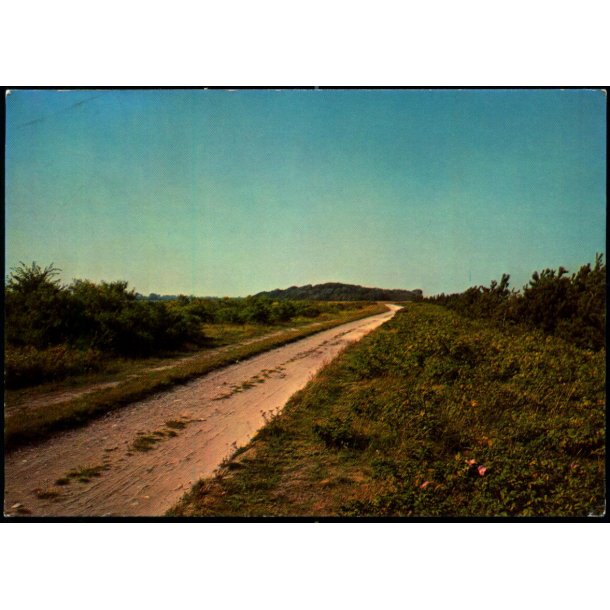 Parti fra Eneb�rodde - F. Winther 76 - 4 - Brugt