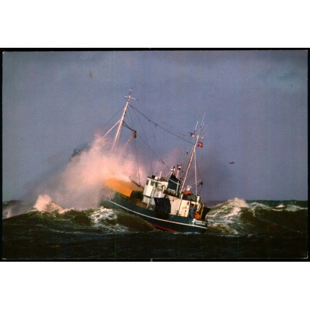 Fiskekutteren Susanne Jette - Hanstholm - Wadmanns 8801 - Ubrugt