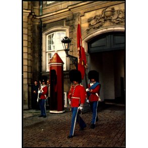 The Qeens Gard - Agenda 115