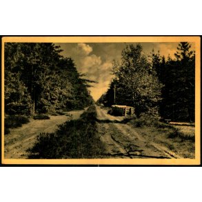 Asserbolinien - Asserbo - E. Ramlaus Bogh. 78366 - Ubrugt