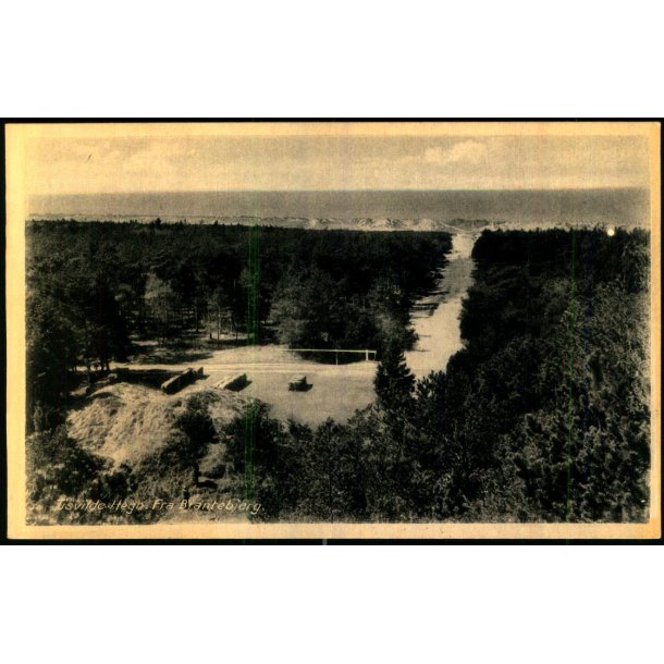 Tisvilde Hegn - Fra Brantebjerg - Rudolf Olsen 8 - Ubrugt