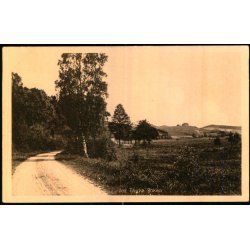 Ved Tibirke Bakker - A. Jensens Bogh. 50328 - Ubrugt