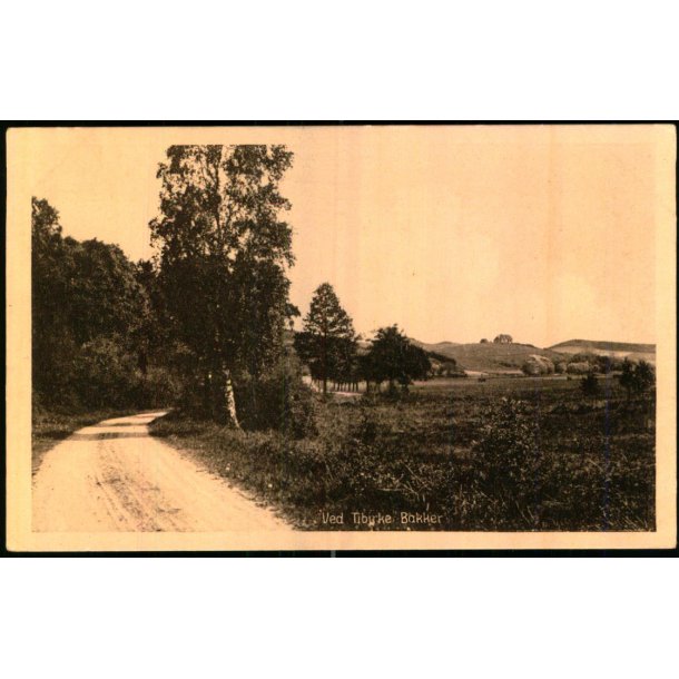 Ved Tibirke Bakker - A. Jensens Bogh. 50328 - Ubrugt