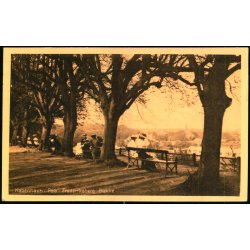 Kbenhavn - Paa Frederiksberg Bakke - Stender 523 - Ubrugt