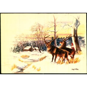 Birgit Helen - Dobbeltkort - Pobra 5953 