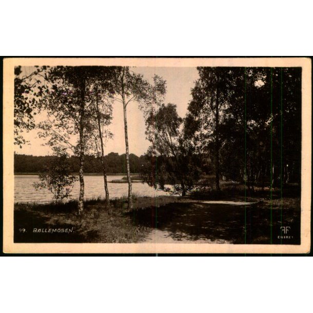 B�llemosen - Fotografisk Forlag 1211 - Brugt