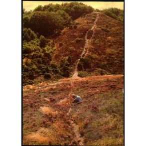 Rebild Bakker - Valo u/n - Ubrugt