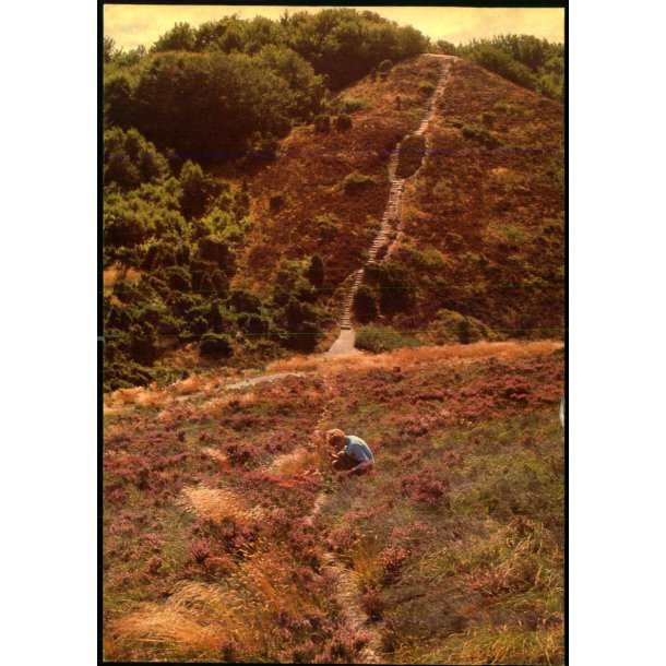 Rebild Bakker - Valo u/n - Ubrugt