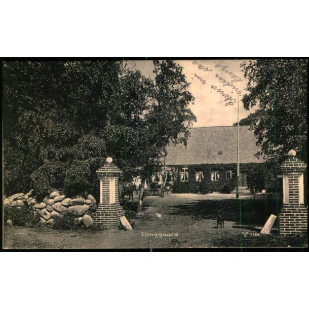 Ellinggaard - H.H.O. 2584 - Brugt