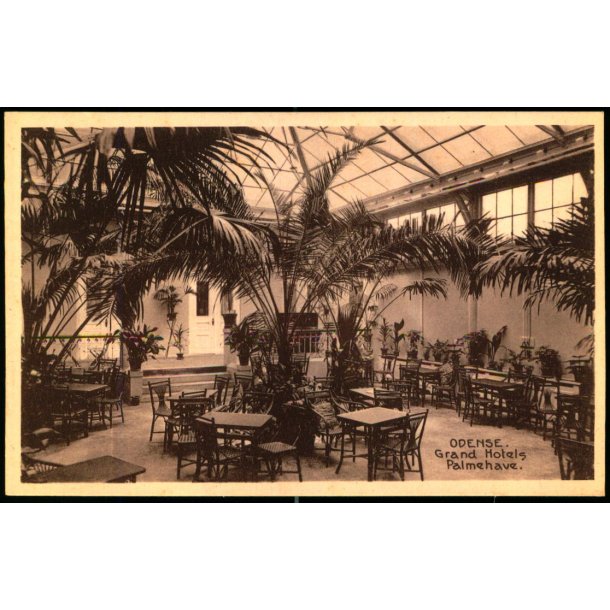 Odense - Grand Hotels Palmehave - Stender 26437 - Ubrugt
