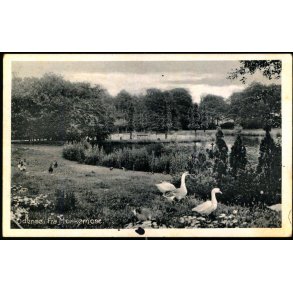 Odense - Fra Munkemose - Stender O. 510 - Ubrugt