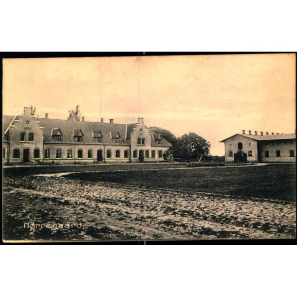 N�rregaard - Stender 3689 - Ubrugt