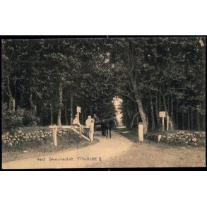 Tisvilde - Ved Skovleddet II - Albert Jensens Bogh. u/n - Ubrugt