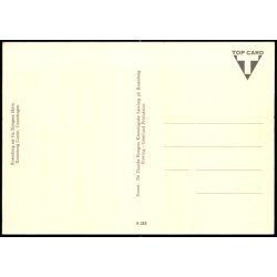 Rosenborg set fra Kongens Have - Top Card 9-203