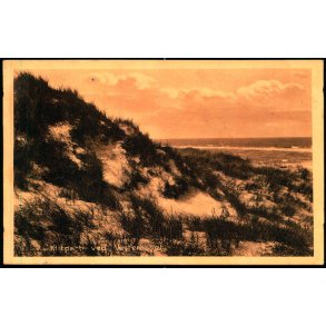 Klitparti ved Vesterhavet - Stender 13257 - Brugt