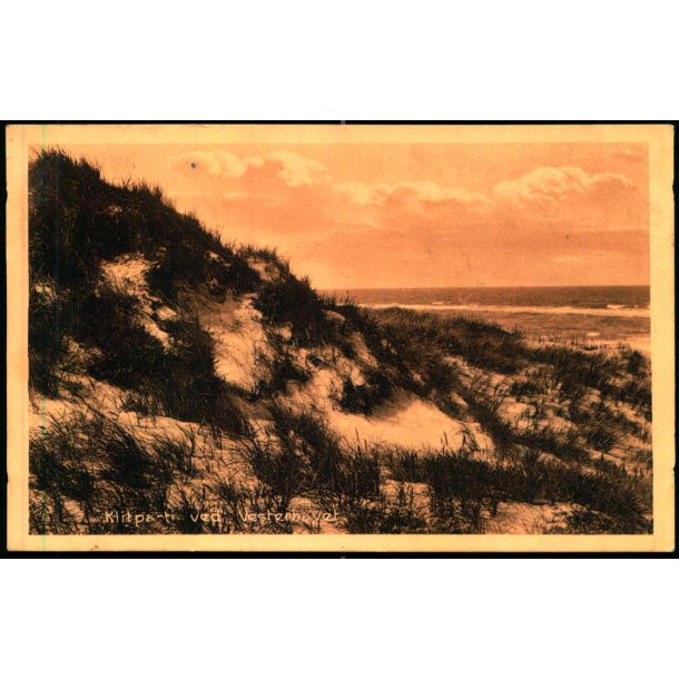 Klitparti ved Vesterhavet - Stender 13257 - Brugt