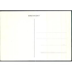 Pige i Manddragt - u/n - Ubrugt