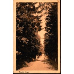 TIDSVILDELEJE p Postkort