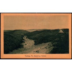 Faaborg - Fra Svanninge Bakker - F.C. Alstr�ms Bogh. u/n - Ubrugt