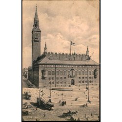 Kbenhavn - Raadhuset - Alex Vincent 8