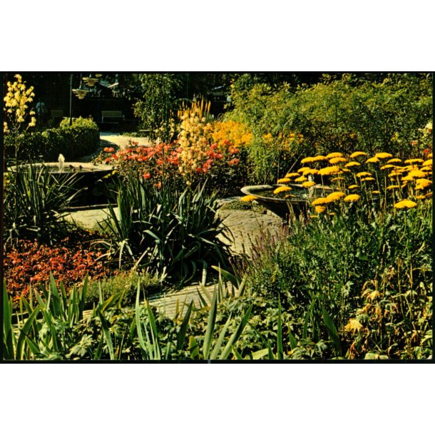 Tivoli - Kbenhavn - Blomster -  Lipperts Postkort u/n - Brugt