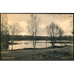 Skodsborg - B�llemosen  - Alex Vincent 3043 - Ubrugt