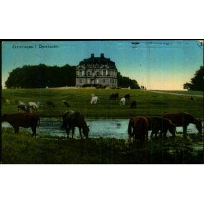 Eremitagen i Dyrehaven - u/n - Brugt