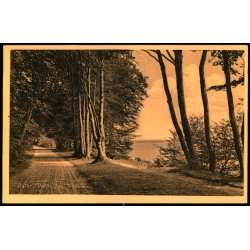 Falster - Parti fra Tromn�s - Stender 33302 - Ubrugt