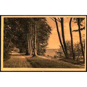 Falster - Parti fra Tromn�s - Stender 33302 - Ubrugt