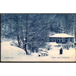 Aarhus - Parti ved Silistria - Stender 16728 b - Brugt
