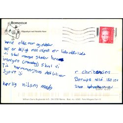 Bornholm - Klippekyst ved Haralds Havn - W. Dams Bogh. 6343 - Brugt