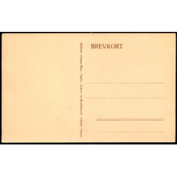 Odense -"Br�nden"  Grand Hotel - Hjalmar Grupes Bogh. u/n - Ubrugt