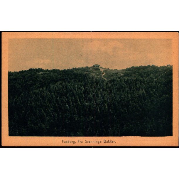 Faaborg - Fra Svanninge Bakker - F.C. Alstr�ms Bogh. u/n - Ubrugt
