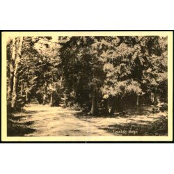 Tisvilde Hegn - K. Poulsens Bogh. 62719 - Brugt