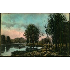 Fra B�llemosen ved Skodsborg - C. St. 211 - Brugt