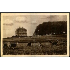 Klampenborg - Ved Eremitagen - Alex Vincent 71 - Ubrugt