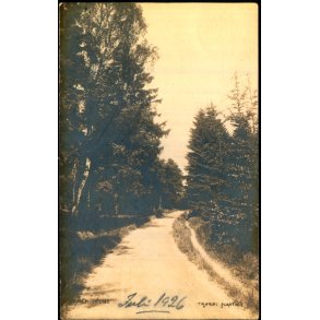 Tisvilde Plantage - Juli 1926 - Fotokort u/n - Ubrugt